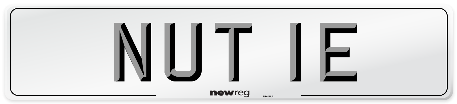 NUT 1E Number Plate from New Reg